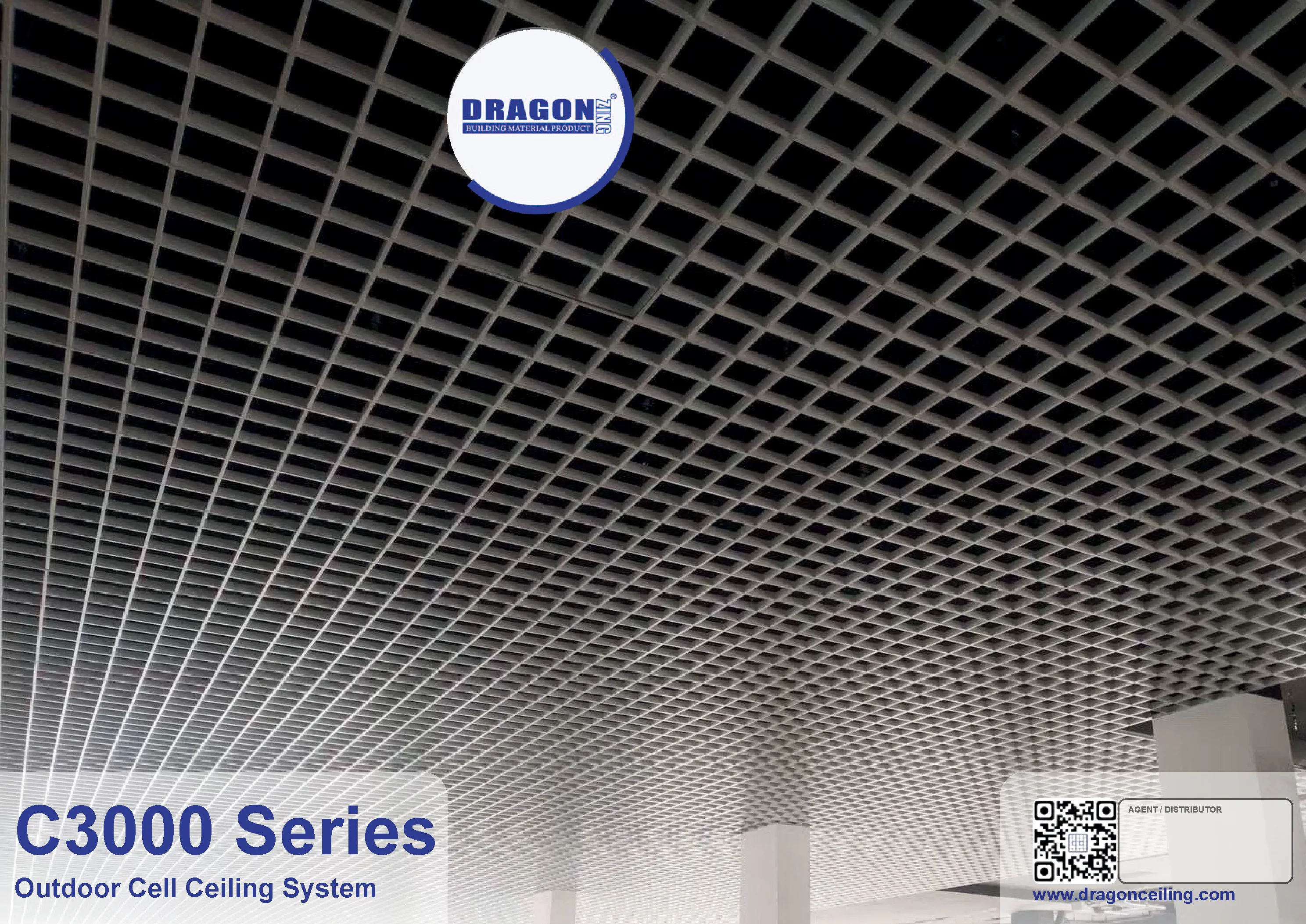 C-3000 PDF cover